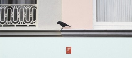 Cornelia Baltes, ‘Untitled (bird)’, 2010