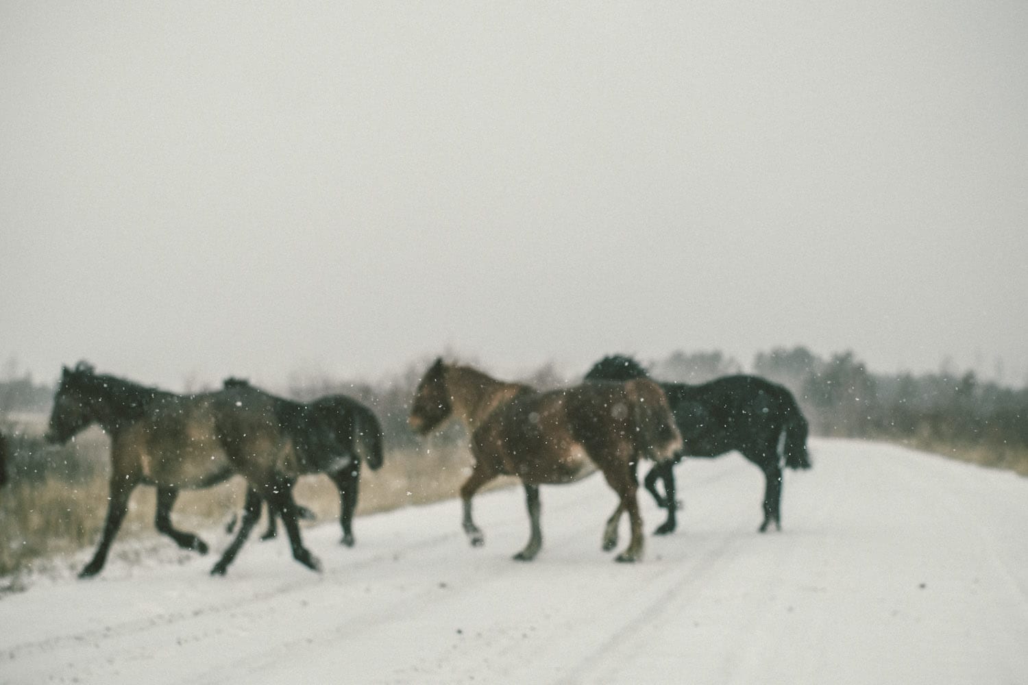 фото: Антон Акимов,