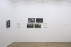 bb8_Gupta_Shilpa_Installation_View_30B8938